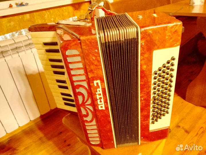 Аккордеон 1/2