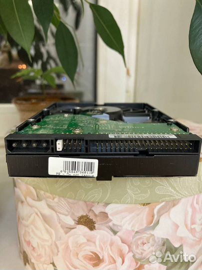 Жесткий диск WD на 160 Гб Western Digital новый