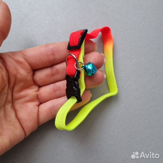 Ошейник для кошечки