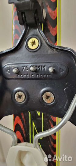 Лыжи беговые (с ботинками), палки и чехол