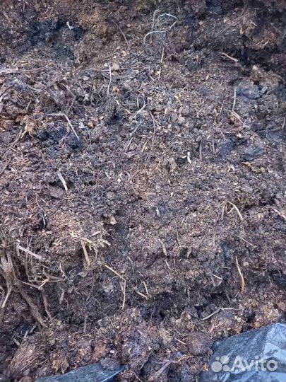 Навоз конский в мешках