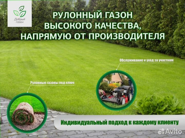 Рулонный газон. Укладка газона