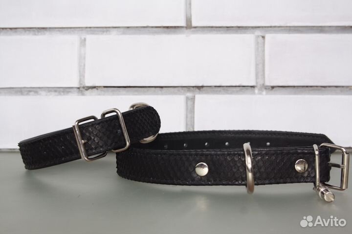 Ошейник из кожи питона для собак средних пород