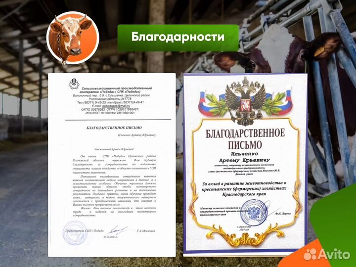 Ветеринарный врач, осеменатор крс, зоотехник