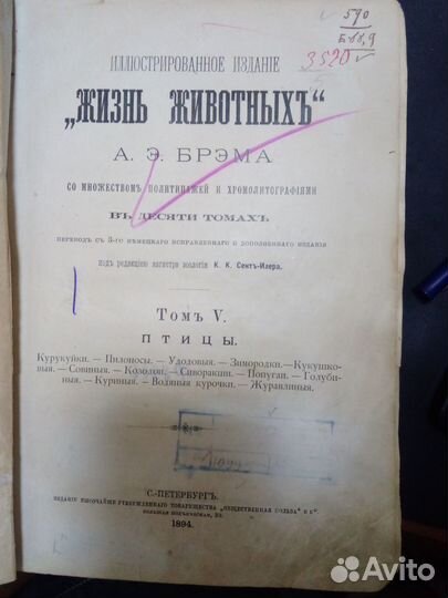 Жизнь животных А.Э. Брэм 1894 год 5 том птицы