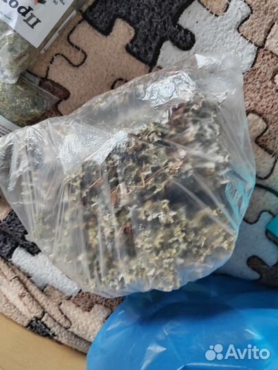 Травы Алтая, ирландский мох