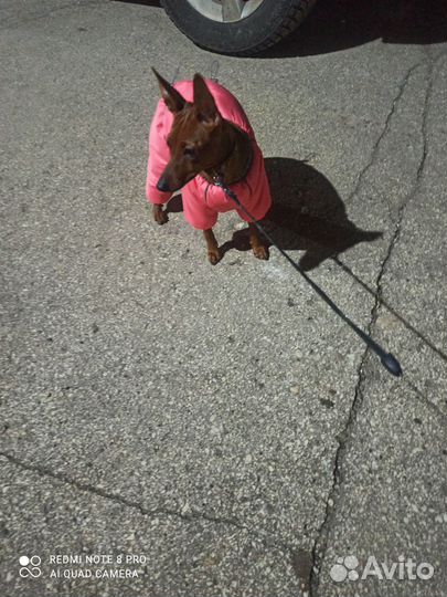 Ищем жениха