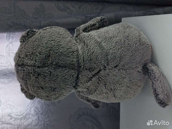 Мягкая игрушка кот басик