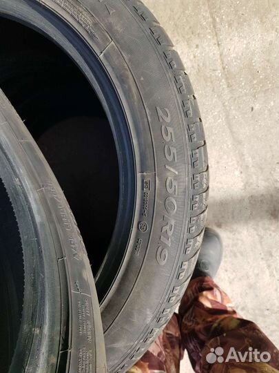 Sava Eskimo SUV 255/50 R19