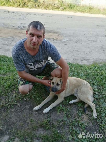 Водитель на газель