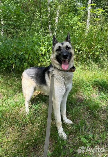 Молодой Красивый Умный паренек из приюта