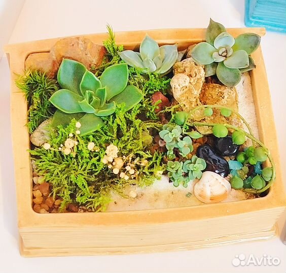 Флорариум, подарок учителю, декор, букет, цветы