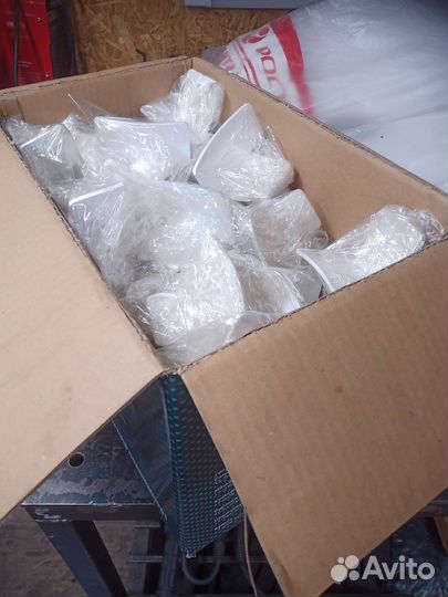 Калабашка конкурная