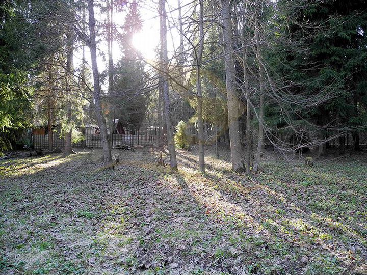 Участок 14,9 сот. (СНТ, ДНП)