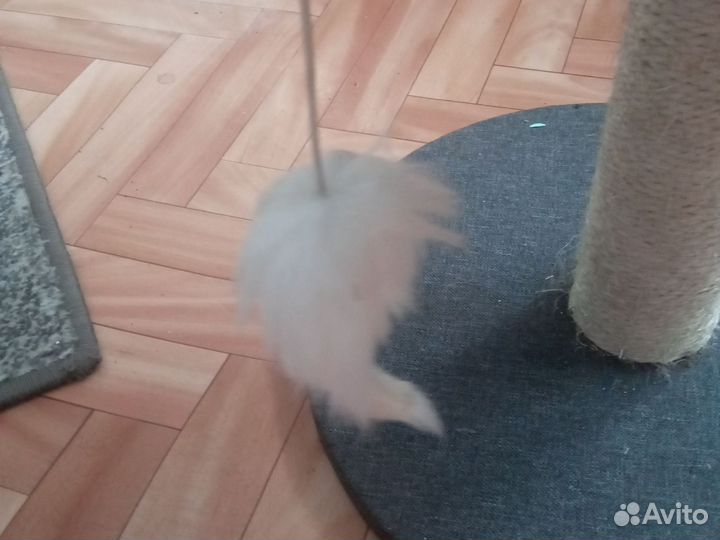 Когтеточка столбик