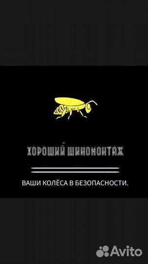 Pirelli Cinturato P7 ECO 195/55 R15