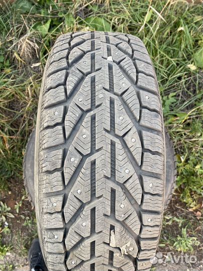 Tigar Ice 195/55 R16