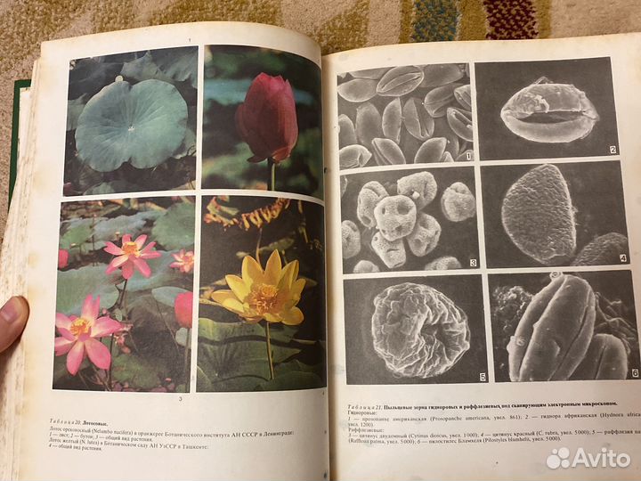 Книги жизнь животных жизнь растений