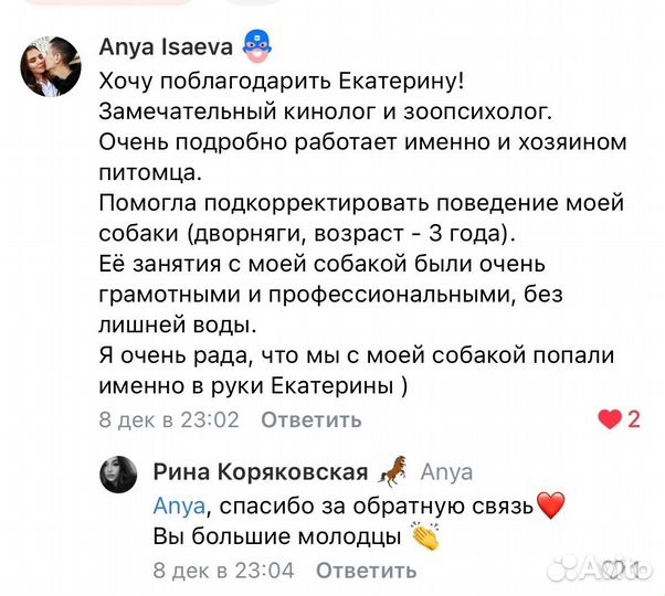 Кинолог. Дрессировка собак, выгул собак