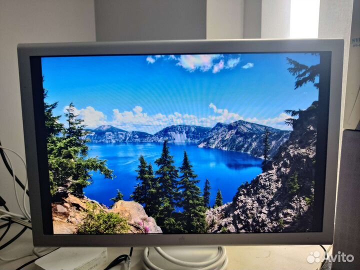 Apple Cinema Display 20