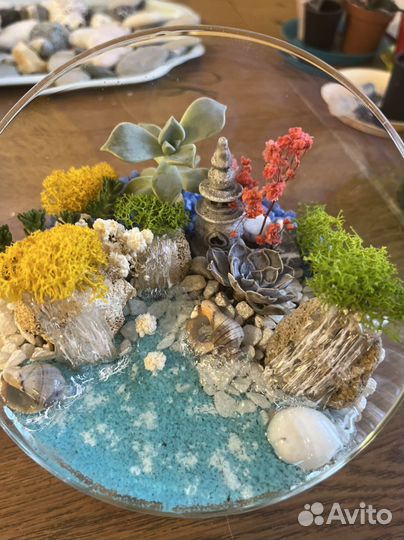 Флорариум из суккулентов. Маяк надежды