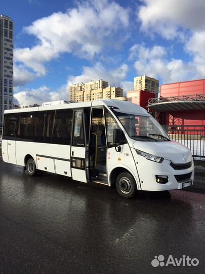 Аренда,заказ автобуса,микроавтобуса