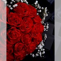 Свежие розы