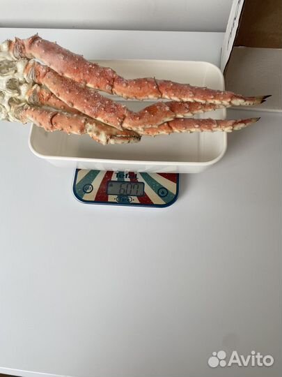 Конечности камчатского краба