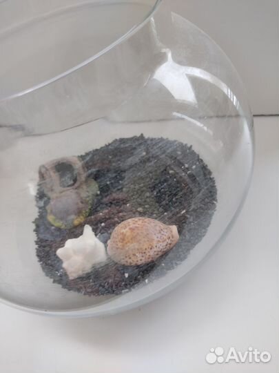 Аквариум 10 литров