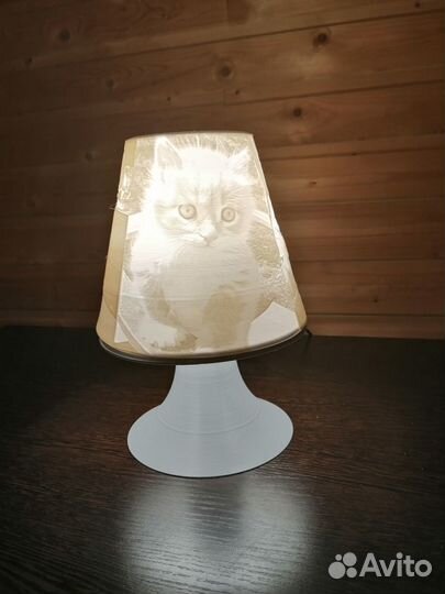 3д печать на 3d принтере и 3д сканирование