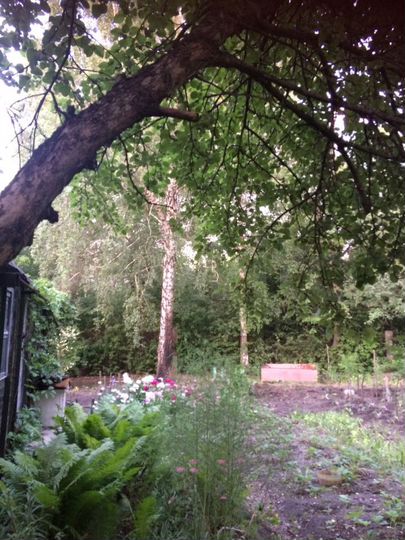 Участок 6,9 сот. (СНТ, ДНП)