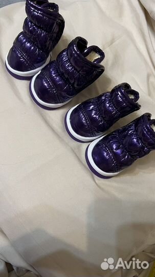 Сапоги для собак