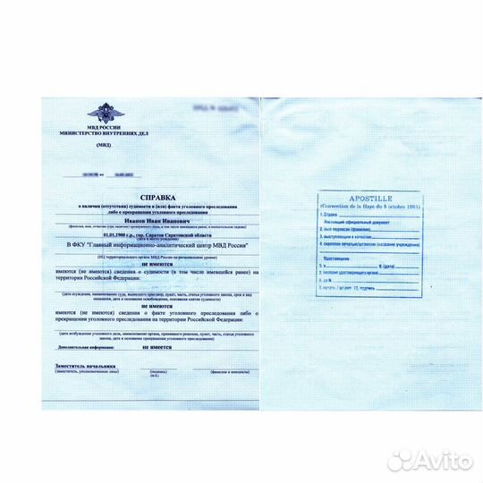 Справка об отсутствии судимости (апостиль)