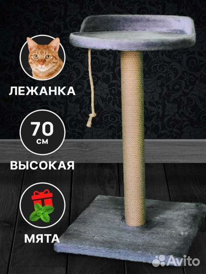 Когтеточка