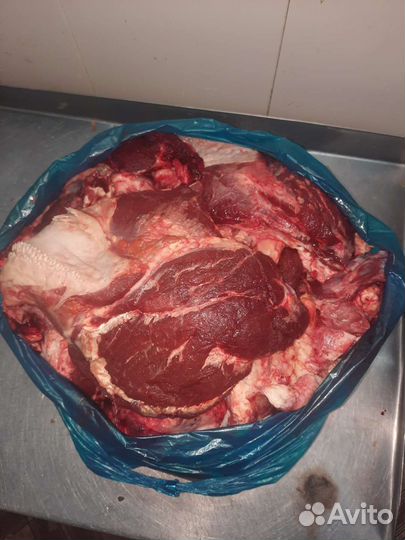 Корм для собак набор для животных