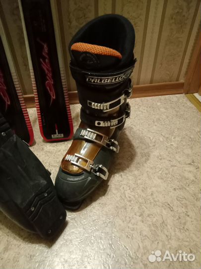 Горные лыжи