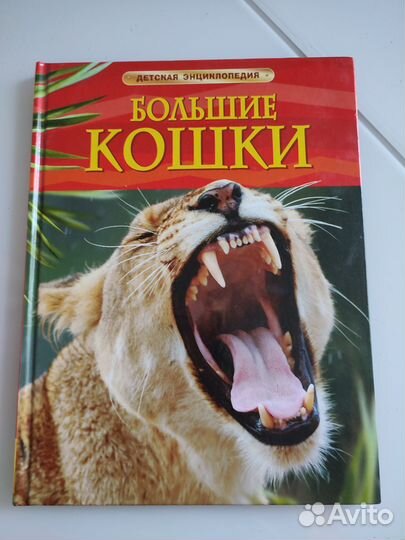 Детская энциклопедия Большие кошки