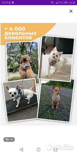 Шлейка для маленькой собаки или кошки