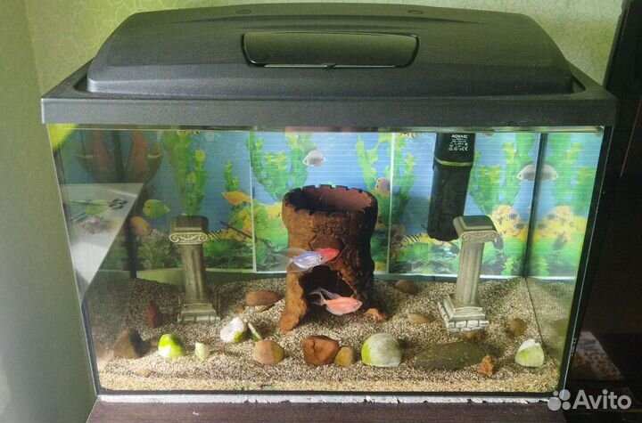 Аквариум с рыбками