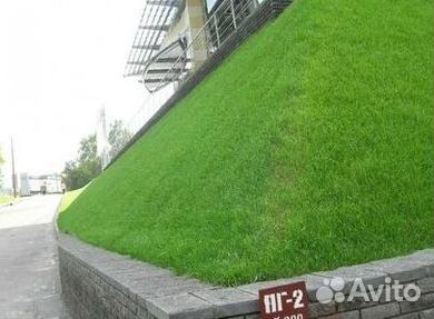 Укладка газона
