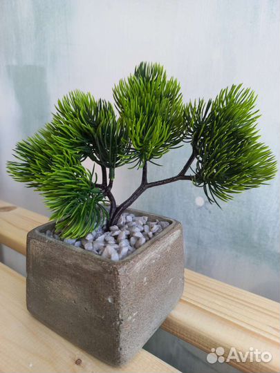 Суккулент искусственный