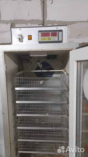 Инкубатор для яиц автоматический бу