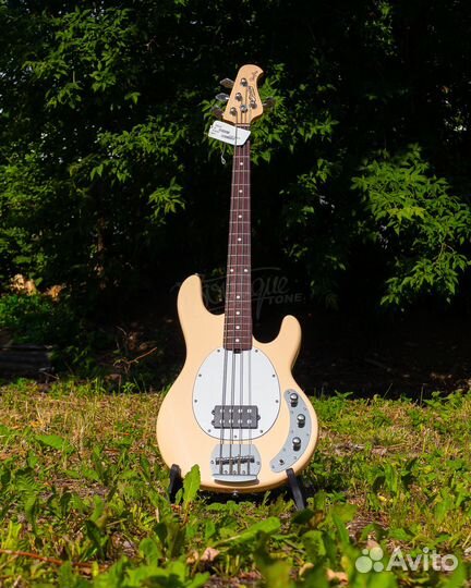 Sterling RAY4-VC-R1 бас-гитара StingRay, цвет Vin