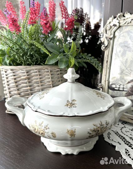 Террин Weimar Германия