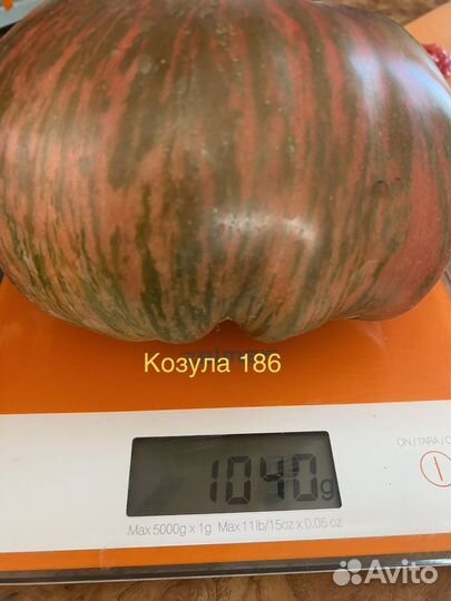 Коллекционные семена томатов