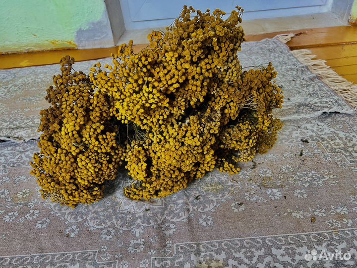 Лекарственные травы