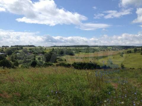 Участок 46,75 га (промназначения)