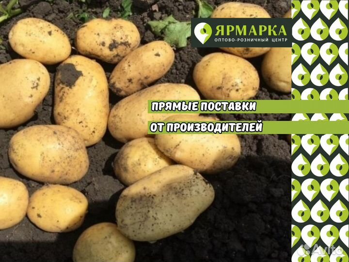 Картофель Коломбо