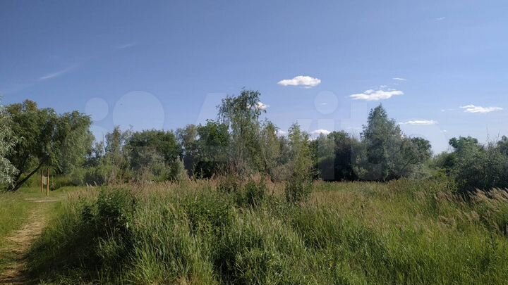 Участок 14 сот. (СНТ, ДНП)