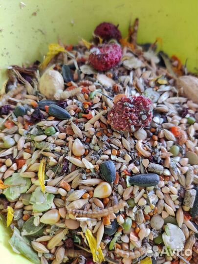 Корм для грызунов